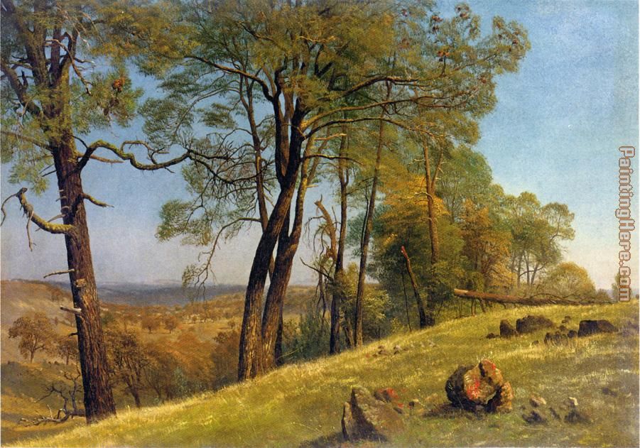 Landscape Rockland County California painting - Albert Bierstadt Landscape Rockland County California art painting